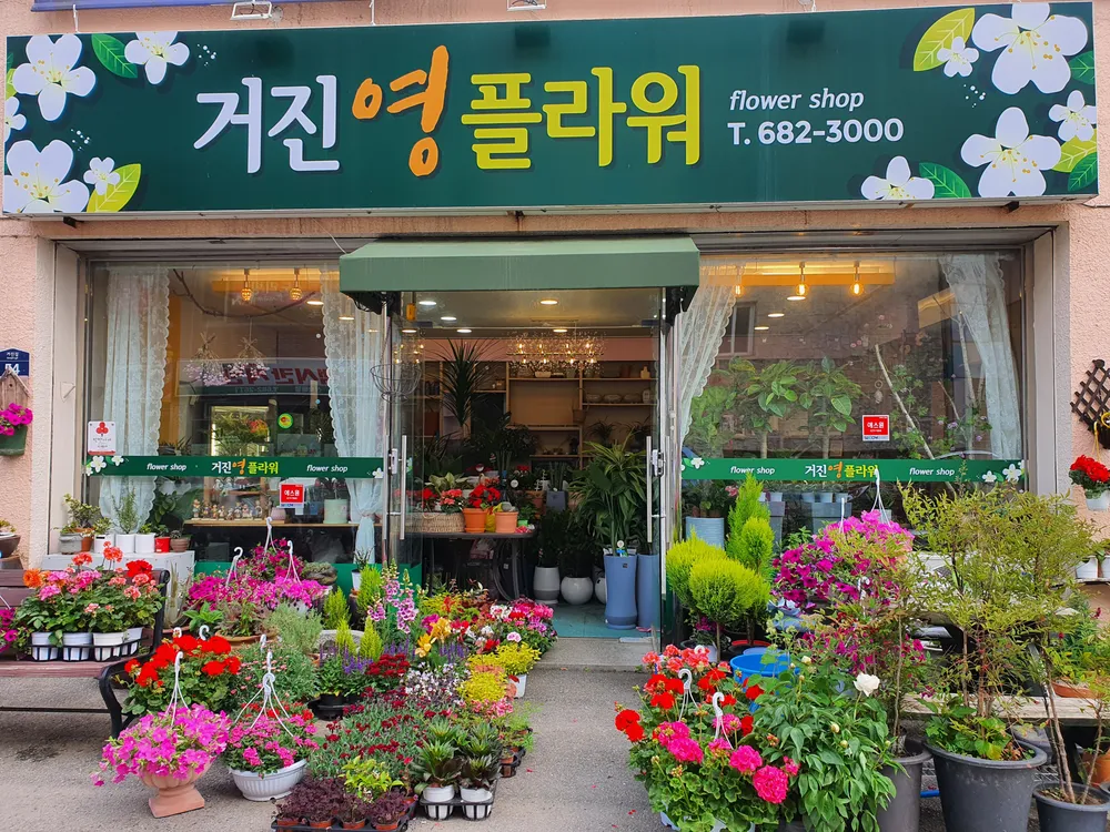 거진영플라워 대표 이미지