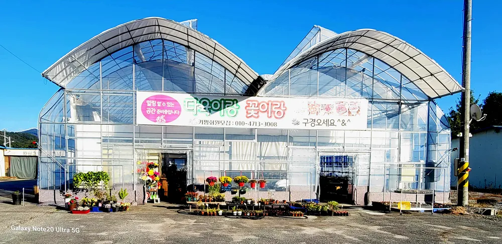 가나다육 대표 이미지