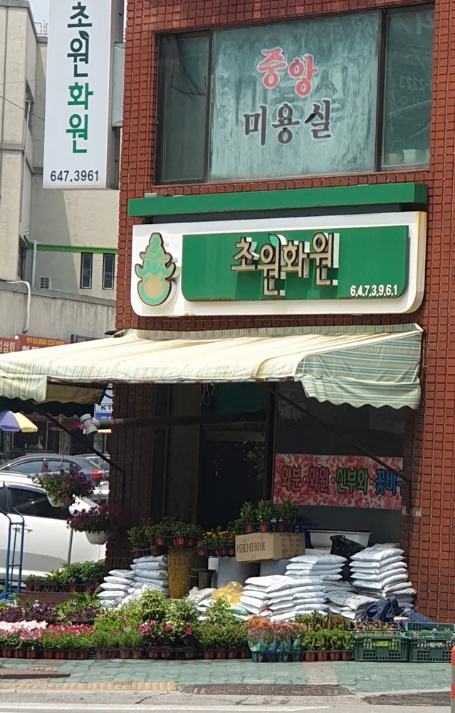 초원꽃화원 대표 이미지