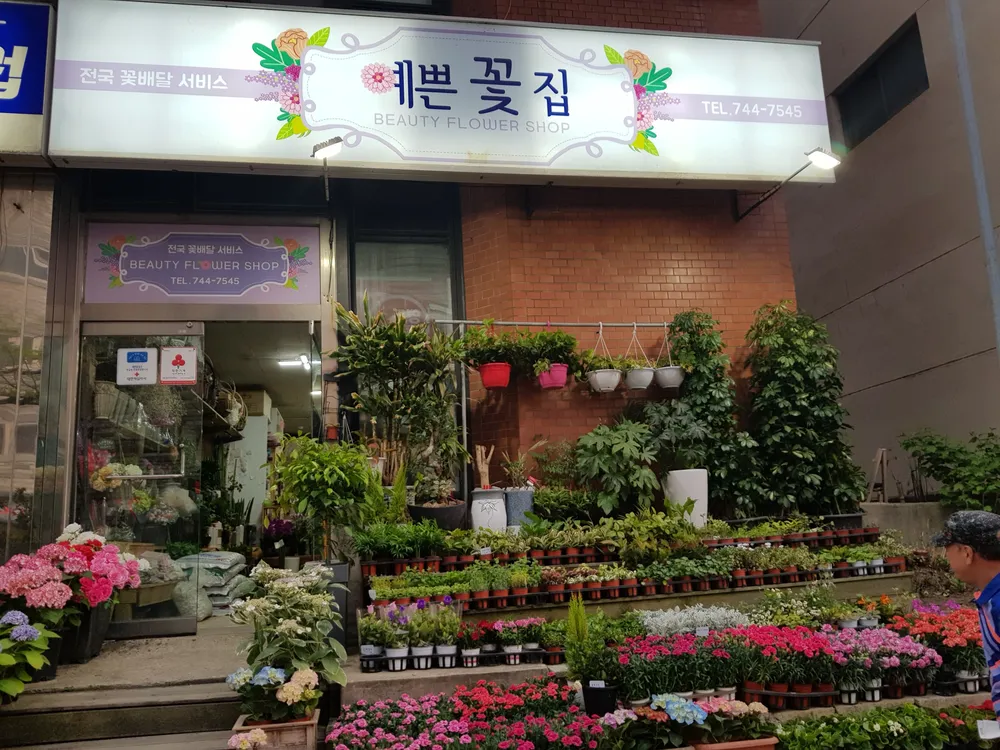 예쁜꽃집 대표 이미지
