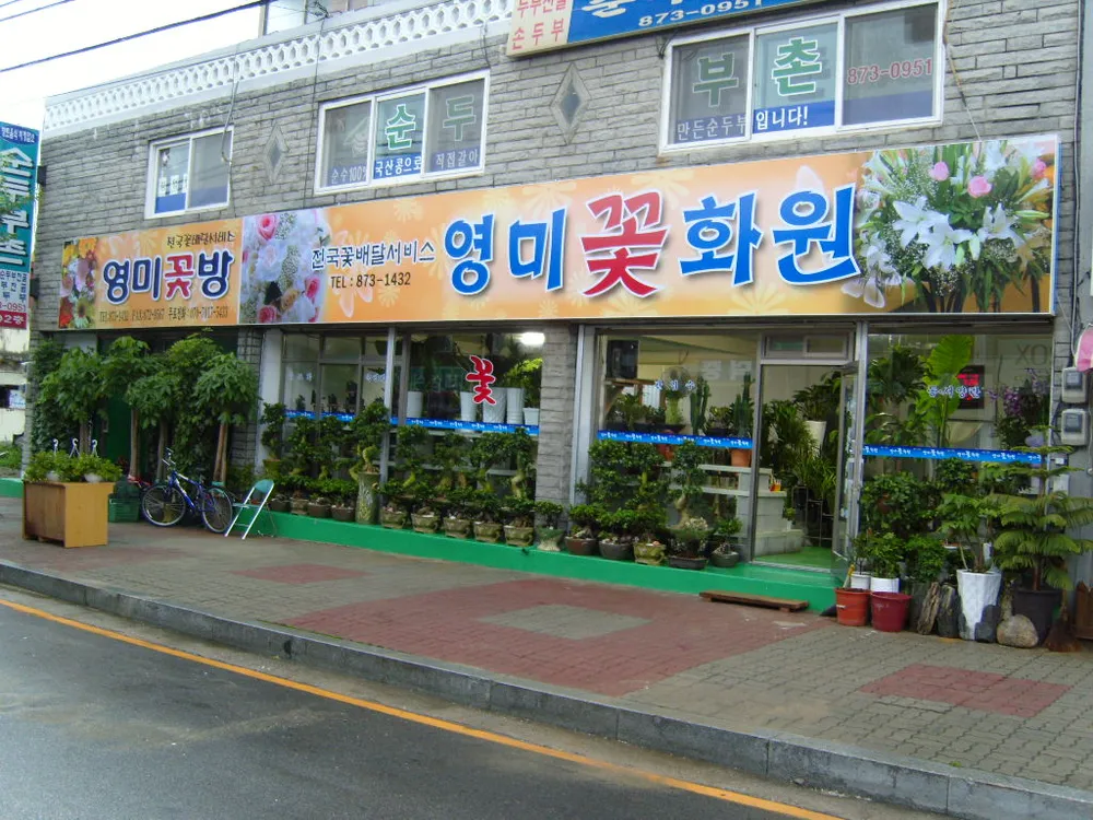 영미꽃화원 대표 이미지