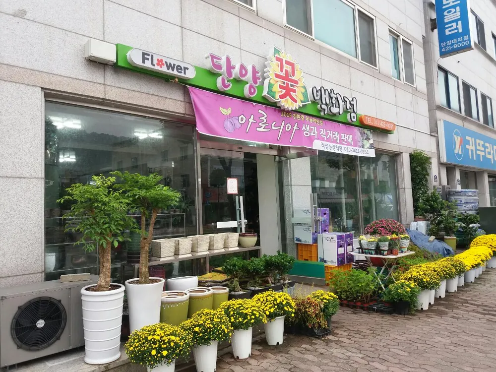 단양꽃백화점 대표 이미지
