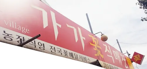 가가꽃직판매장 대표 이미지