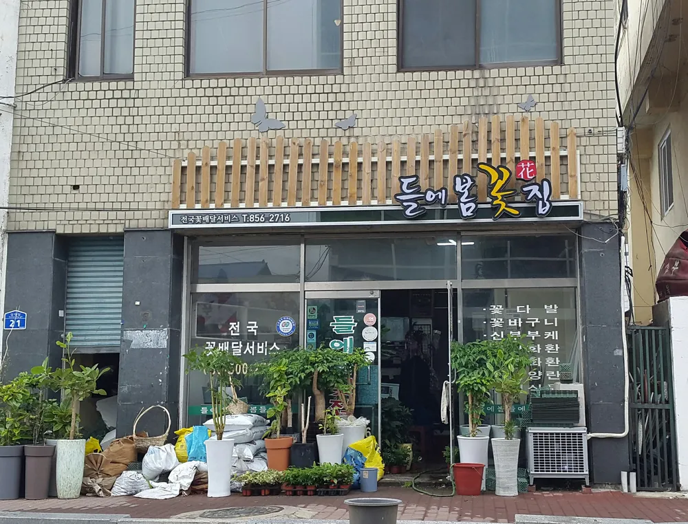 들에봄꽃집 대표 이미지