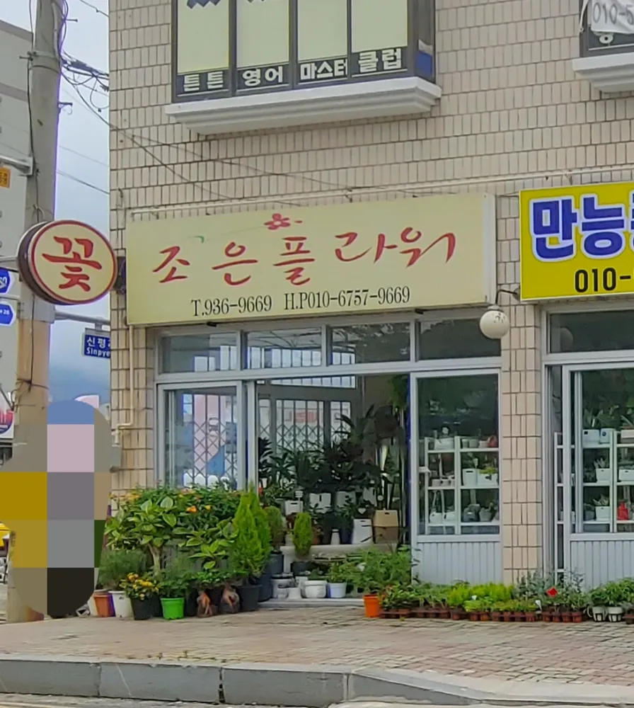 조은플라워 대표 이미지
