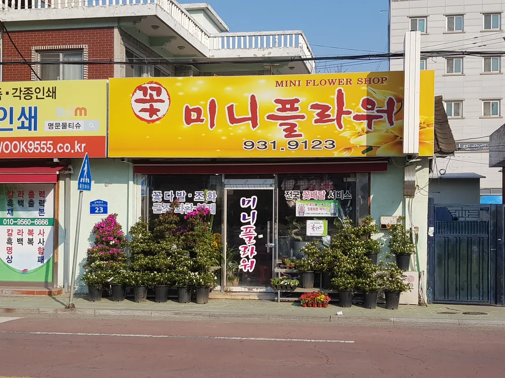 미니플라워 대표 이미지