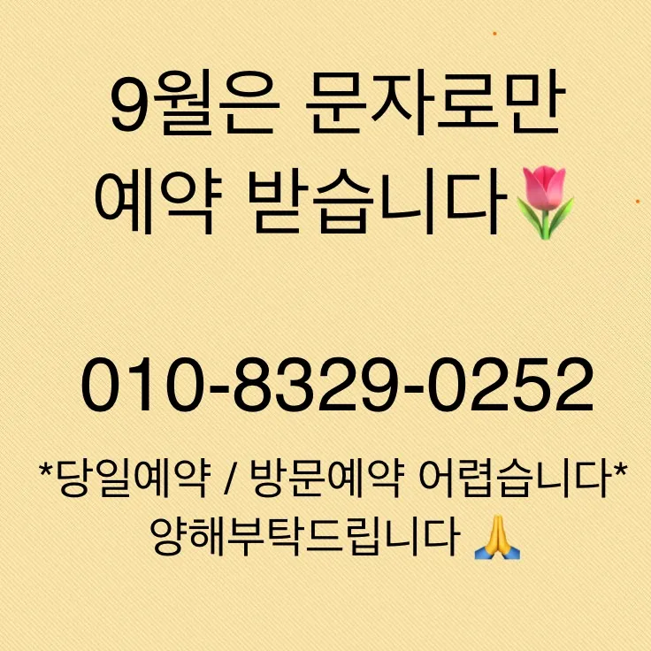 브렌치코이 대표 이미지