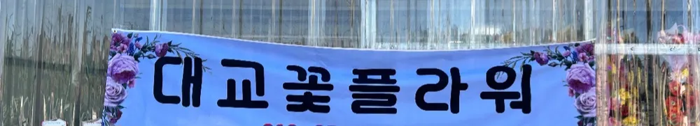 대교꽃플라워 대표 이미지