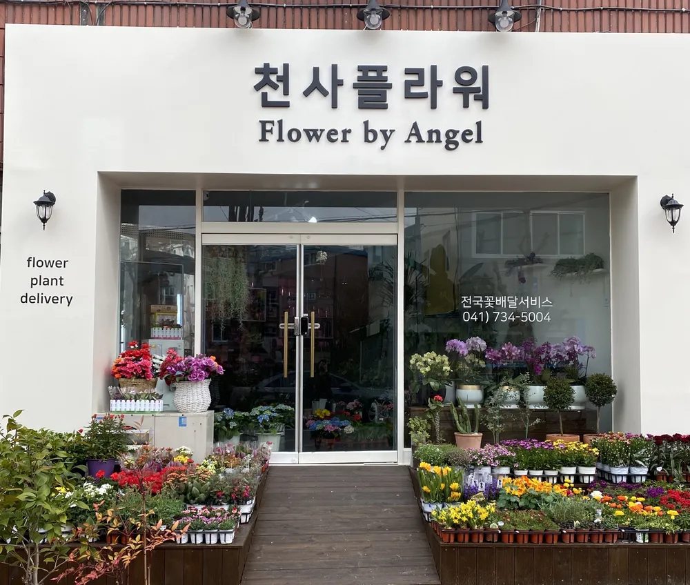 천사플라워 대표 이미지