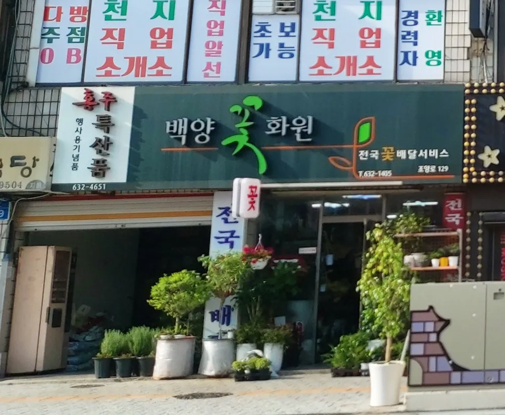 백양꽃화원 대표 이미지