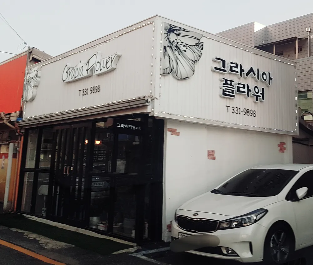 그라시아플라워 대표 이미지