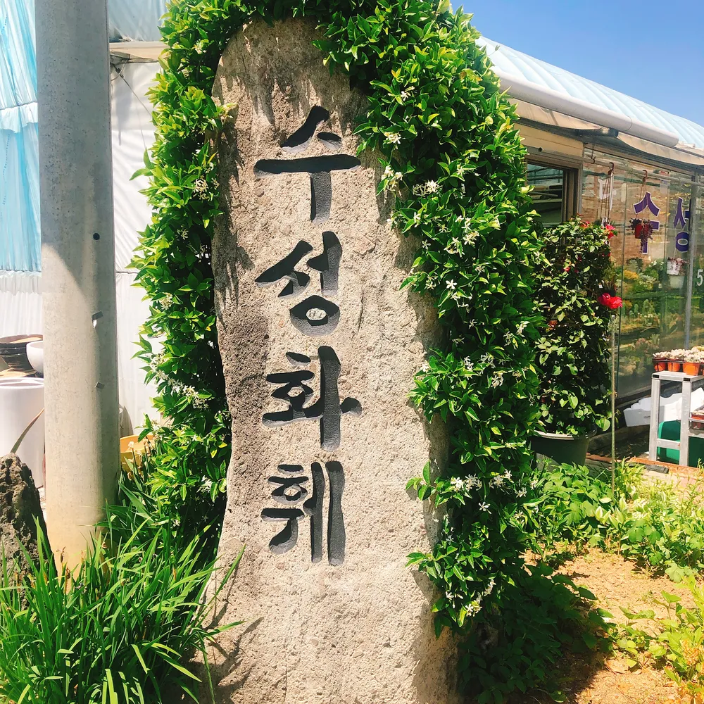 수성화훼농원 대표 이미지