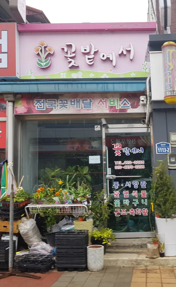 꽃밭에서 대표 이미지