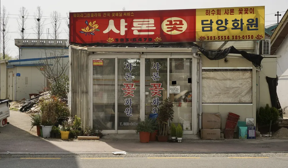 샤론꽃화원 대표 이미지