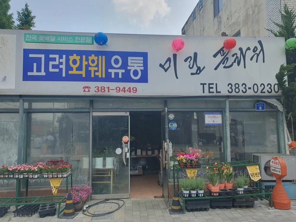 고려화훼유통 대표 이미지