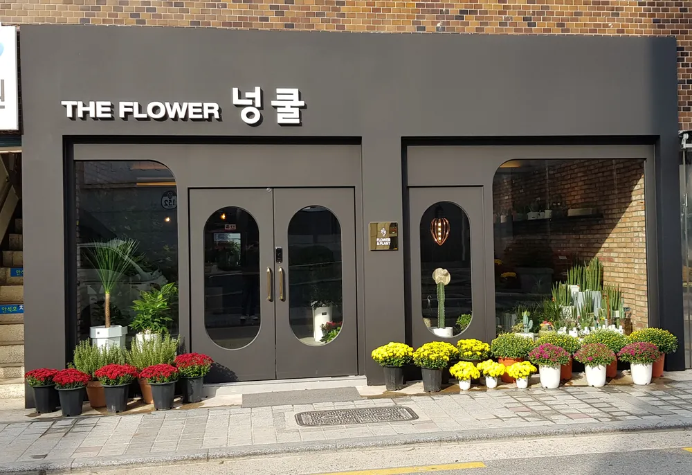더플라워넝쿨 대표 이미지