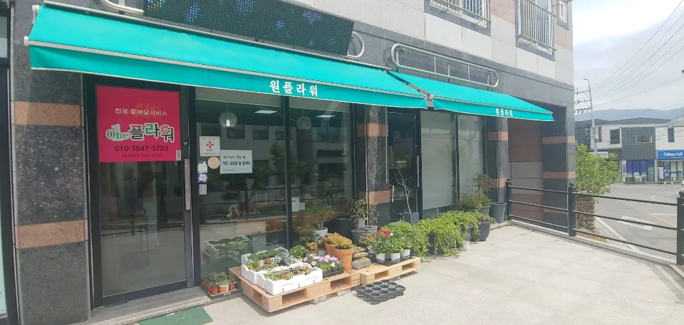 원플라워 대표 이미지