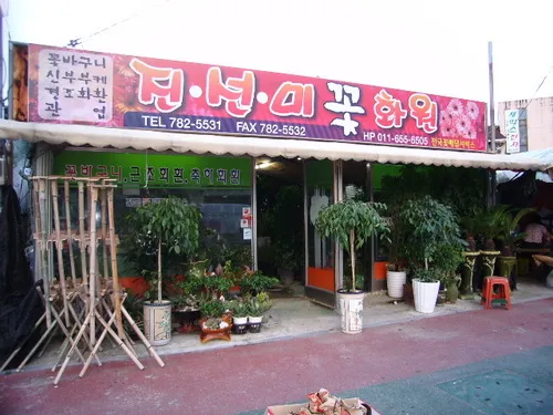 진선미 화원 대표 이미지