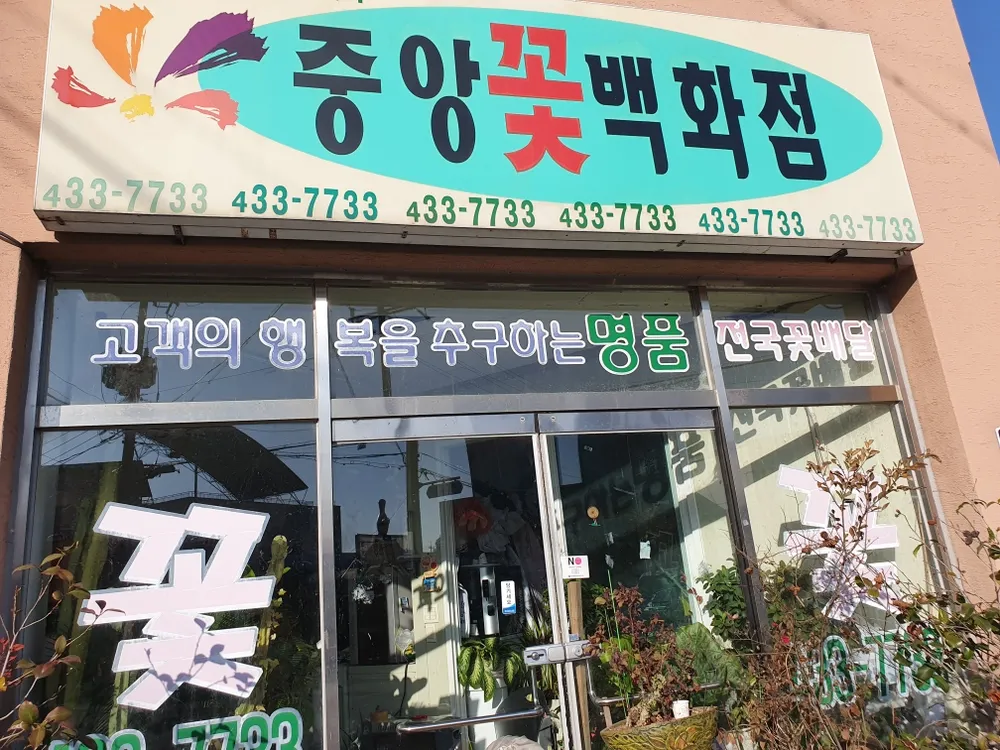 중앙화원꽃배달 대표 이미지