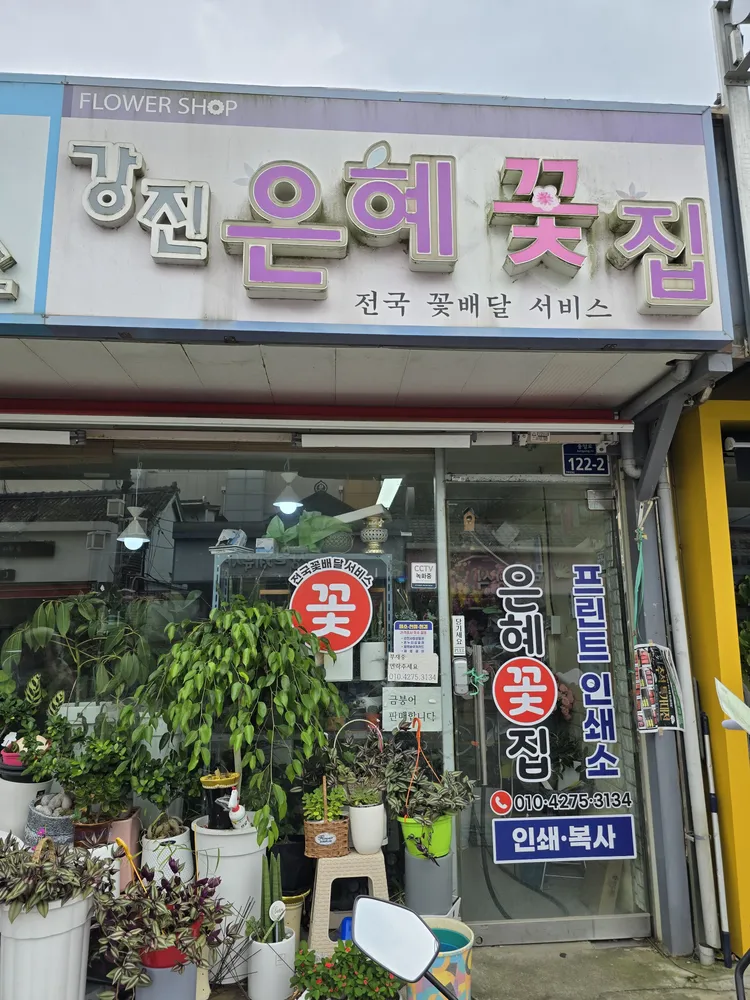 강진은혜꽃집프린트하우스 대표 이미지