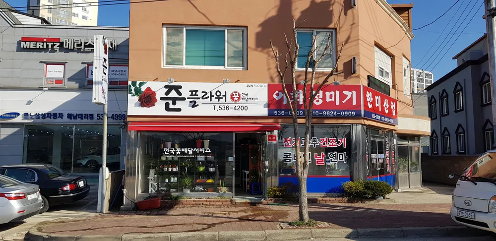 준플라워 대표 이미지
