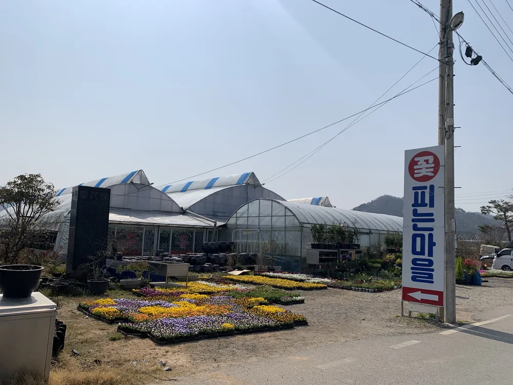 꽃피는마을 대표 이미지