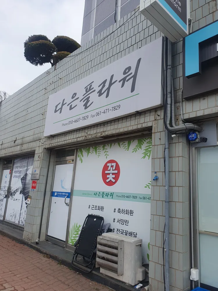 다은플라워 대표 이미지