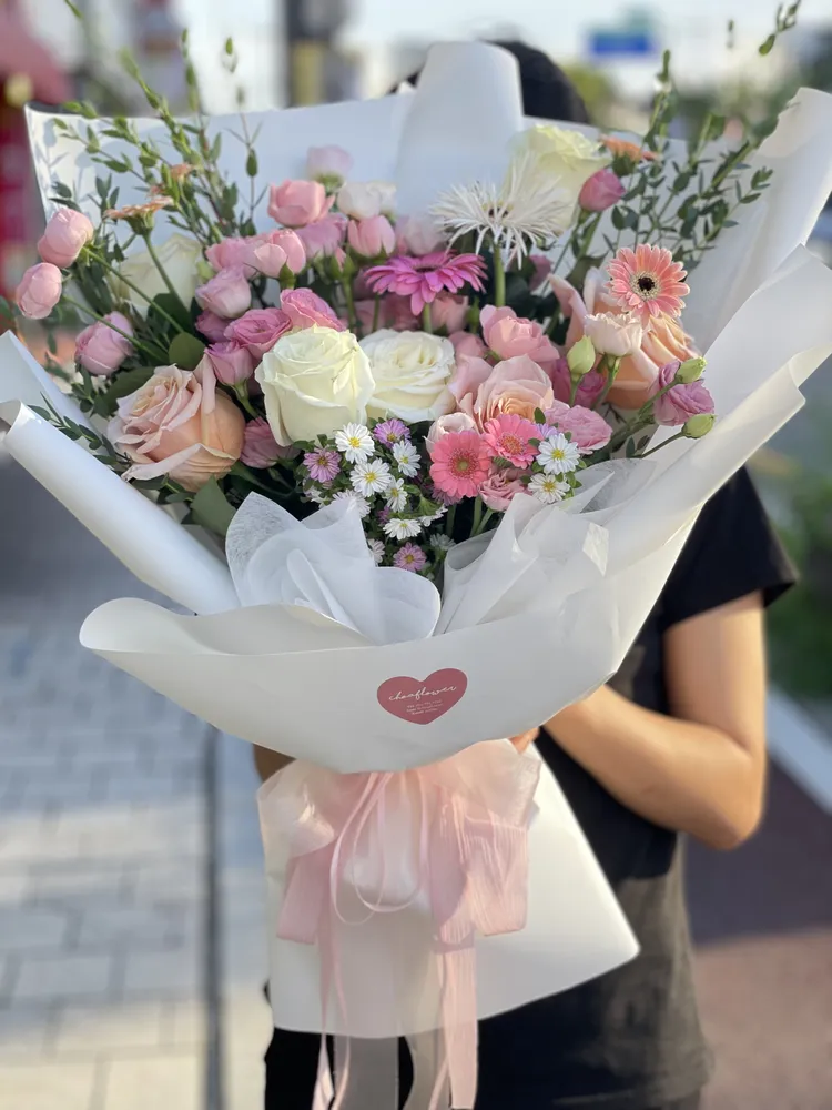 초아꽃 대표 이미지