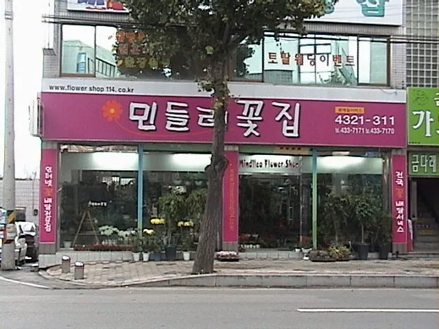 민들레꽃집 대표 이미지