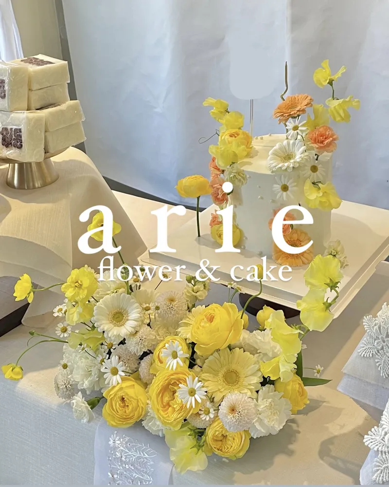 아리에 대표 이미지