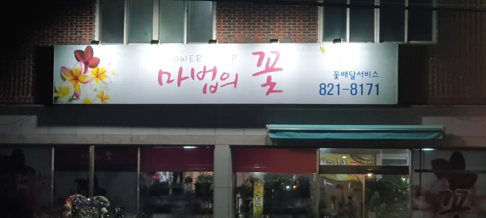 마법의꽃 대표 이미지
