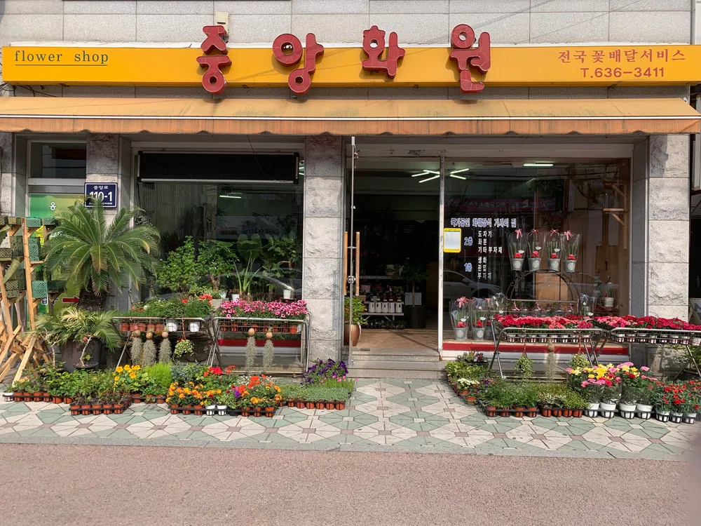 중앙화원 대표 이미지