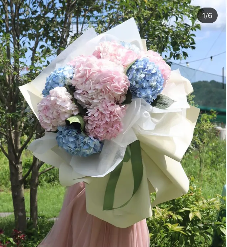 토끼꽃방 대표 이미지