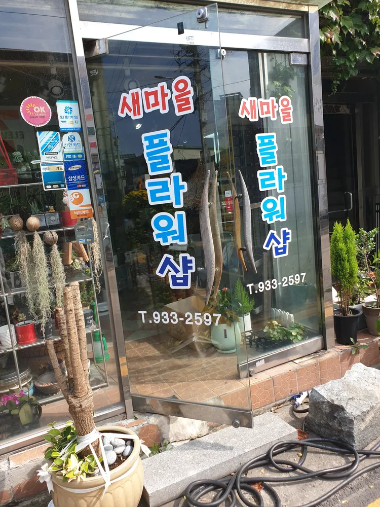 새마을플라워샵 대표 이미지