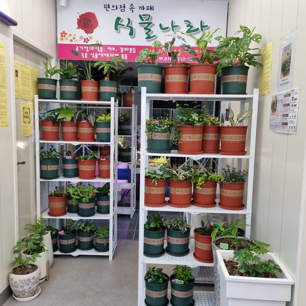 식물나라잡화 대표 이미지