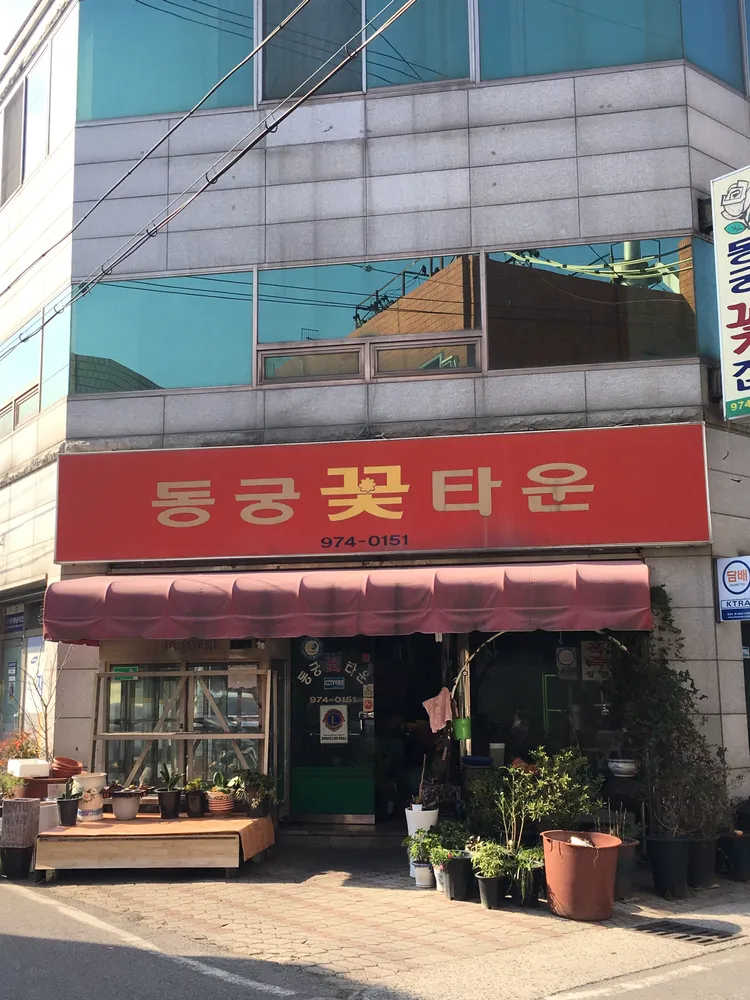 동궁꽃집 대표 이미지