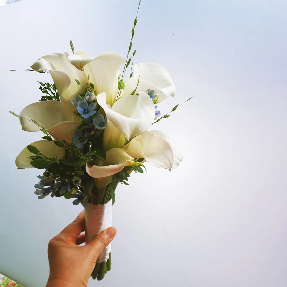 제일꽃화원 대표 이미지
