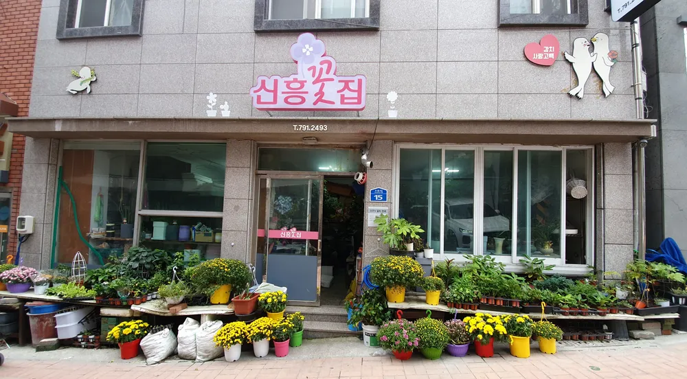 신흥꽃집 대표 이미지