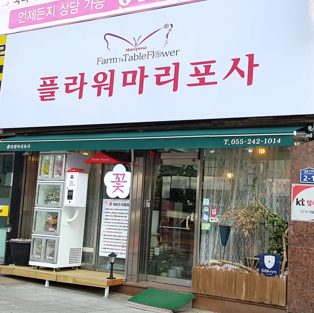 플라워마리포사 대표 이미지