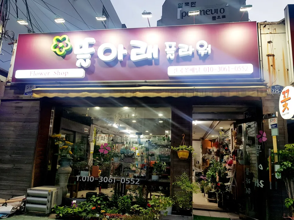 뜰아래플라워 대표 이미지