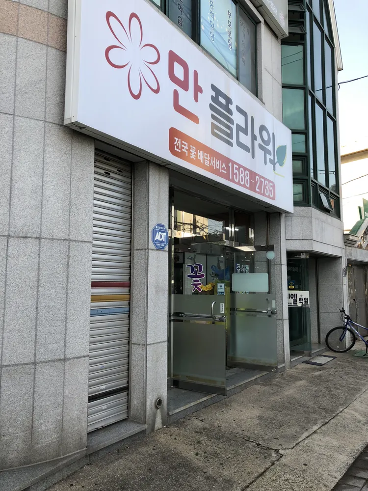 만플라워 대표 이미지