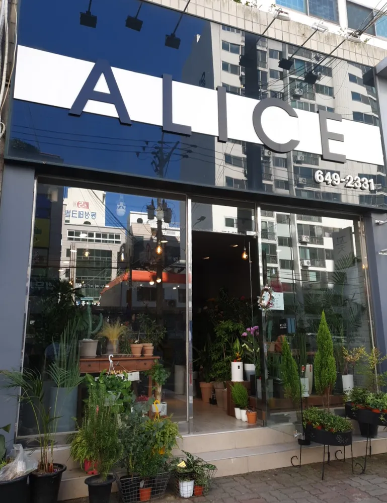 앨리스플라워 대표 이미지
