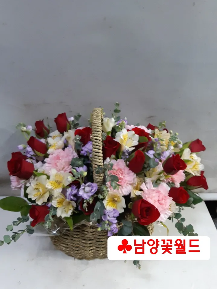 남양꽃월드 대표 이미지