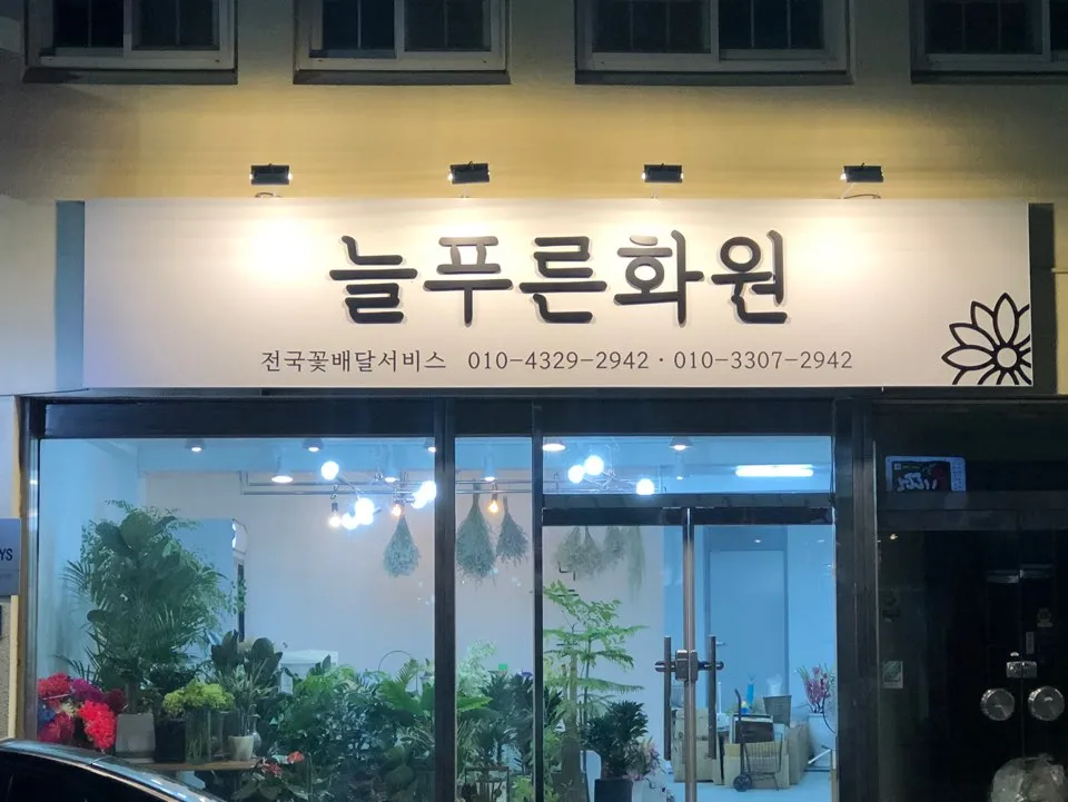 늘푸른화원 대표 이미지