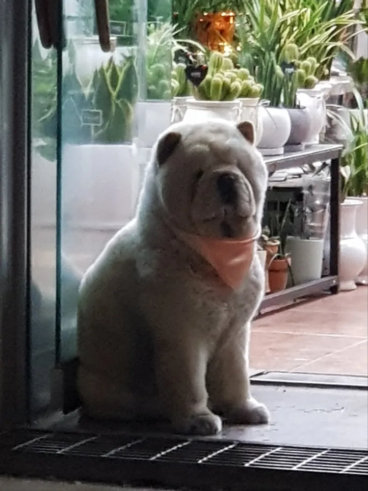 영풍꽃식물원 대표 이미지