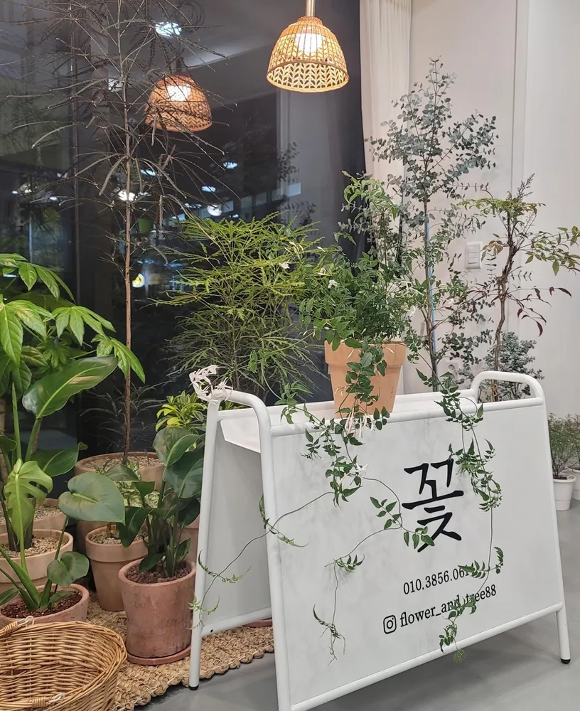 꽃과나무 대표 이미지