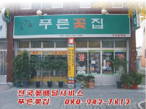 푸른꽃집 대표 이미지