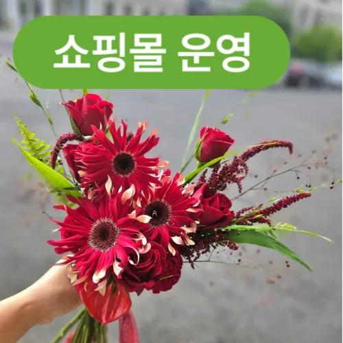 폴플라워 대표 이미지
