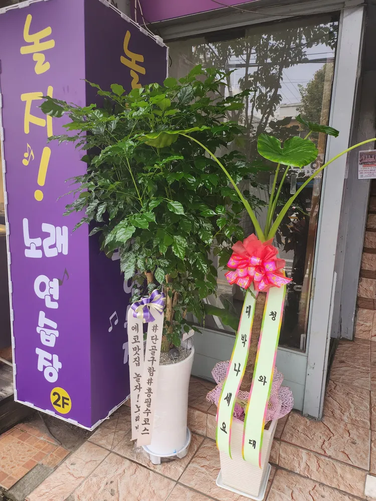 놀자노래연습장 대표 이미지