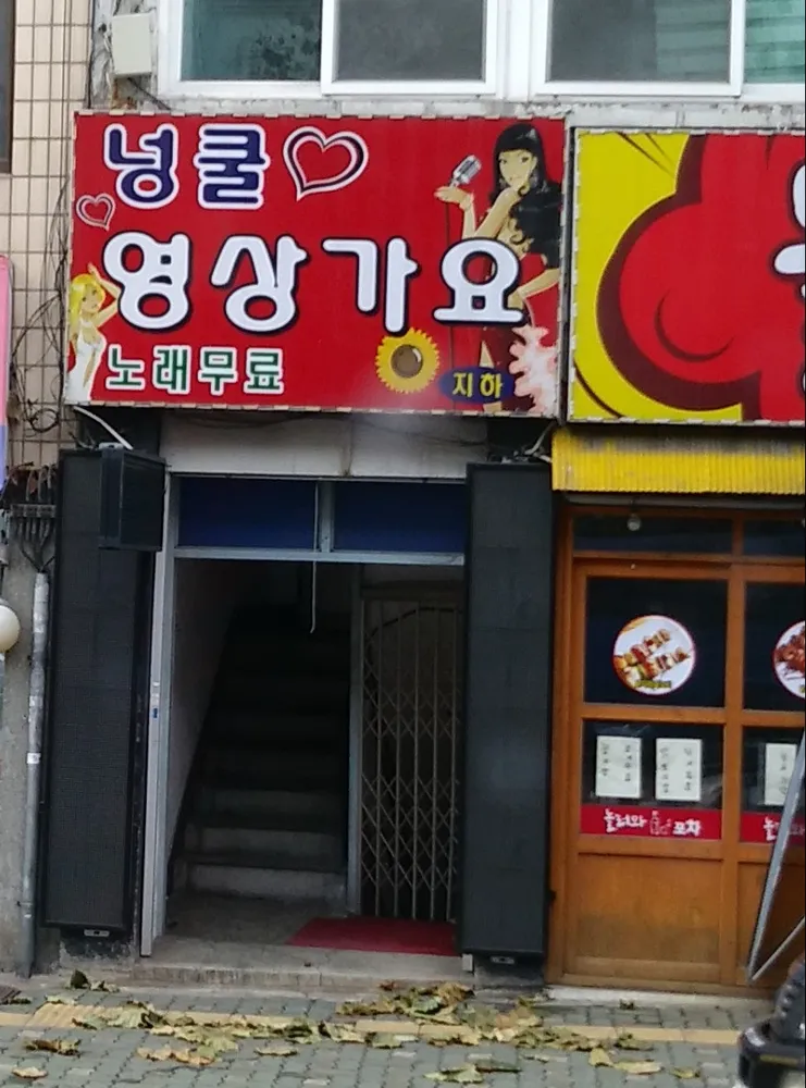넝쿨영상가요 대표 이미지